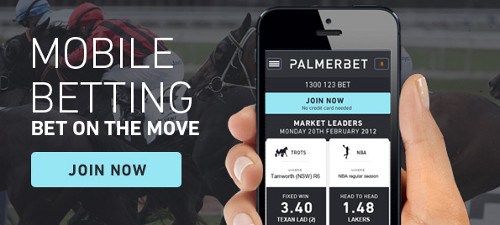 Palmerbet Review